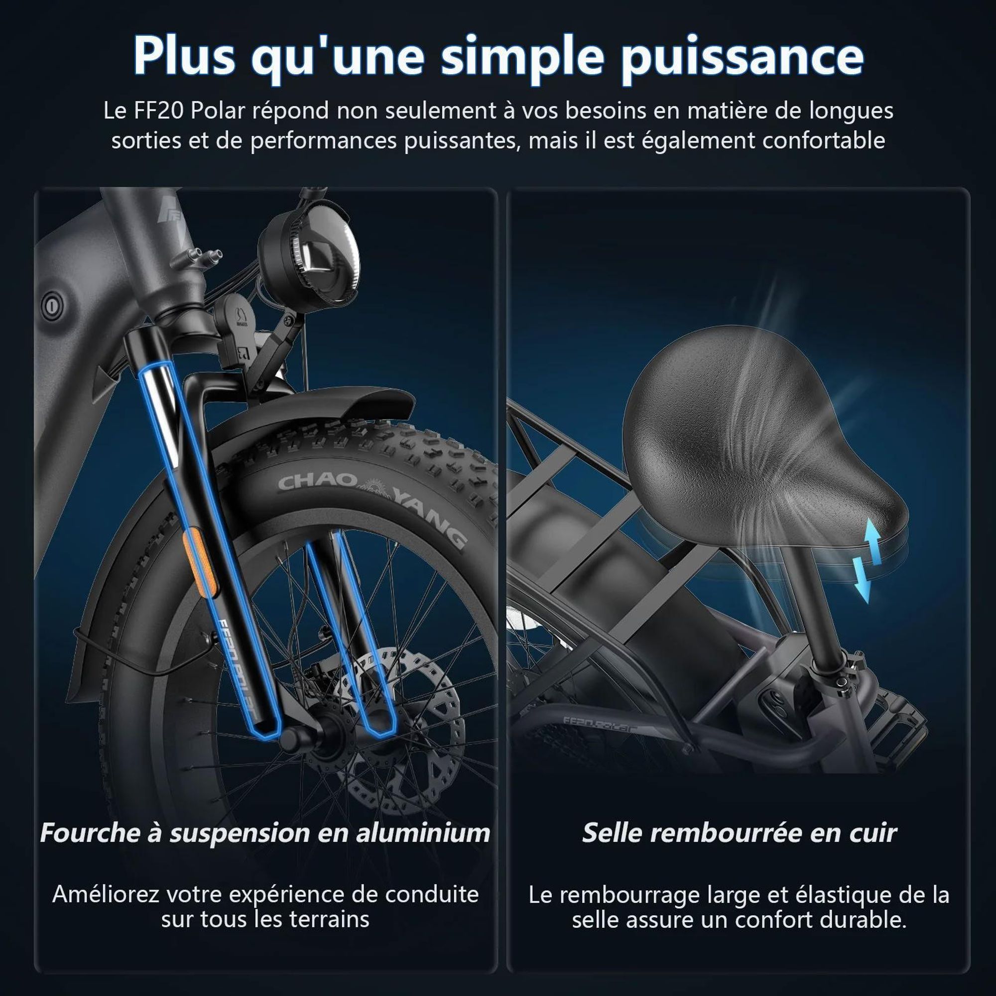 Vélo Électrique FAFREES FF20 Polar - Batterie 48V12*2AH 20" Frein à Disque Hydraulique - Gris Bleu