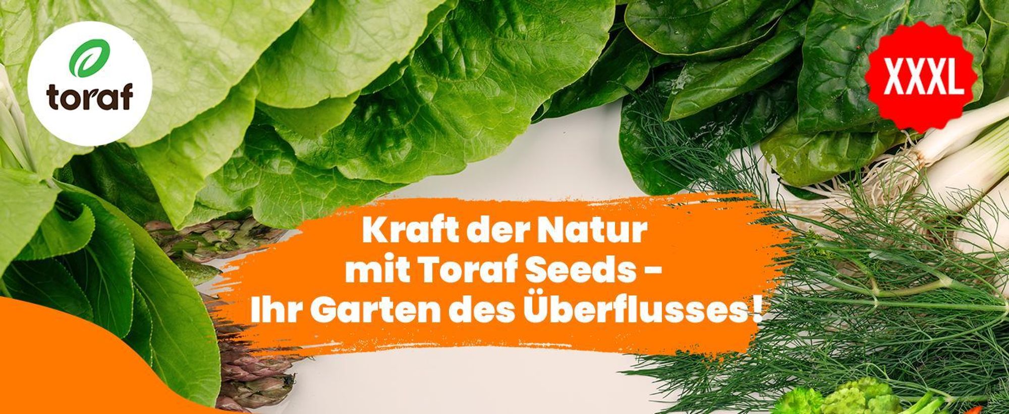 TORAF Gemüsesamen Set XXL, 2500 Samen, 12 Sorten, Garten & Balkon
