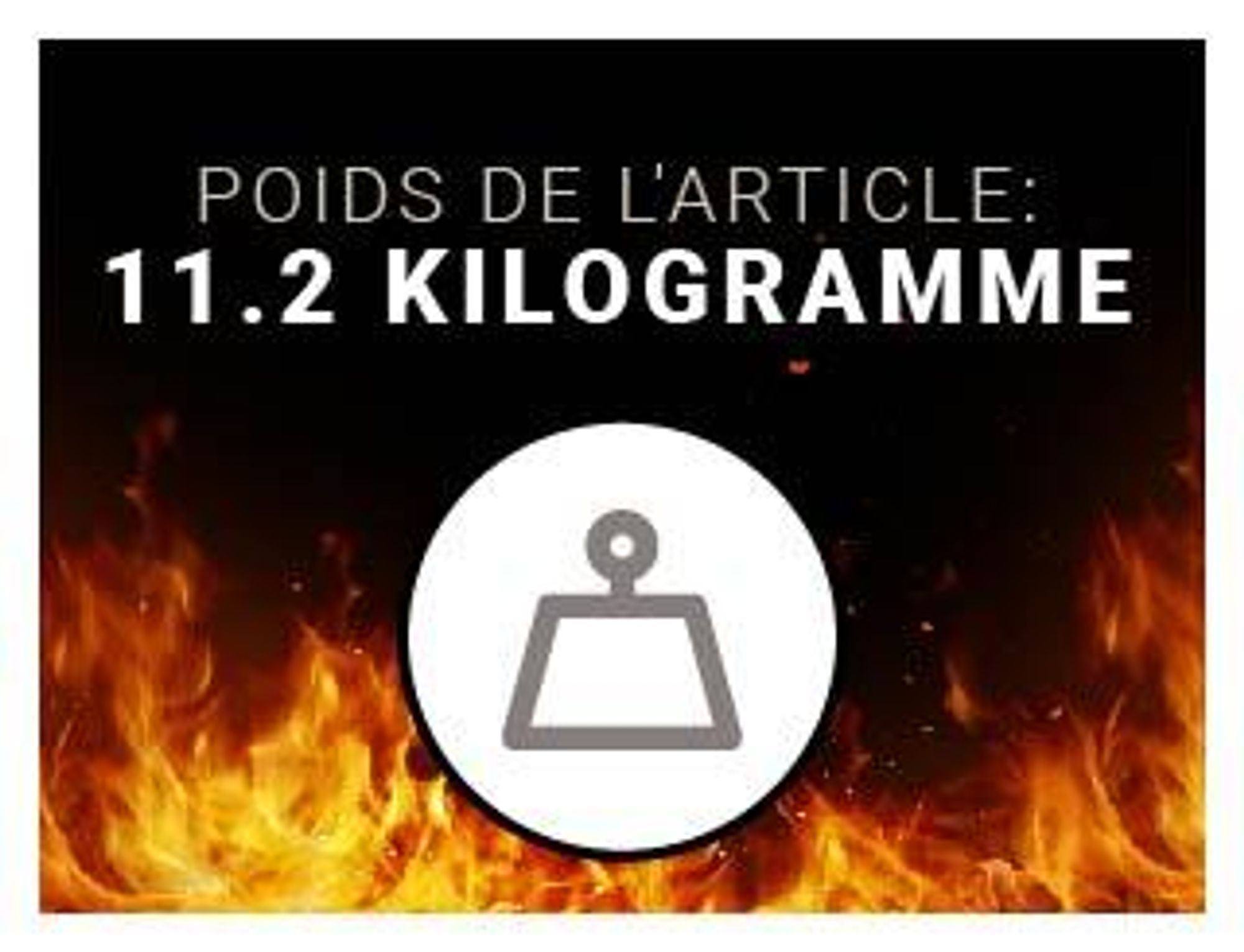 Cheminée électrique encastrable BALDERIA Agnes 60 – Puissance de chauffage jusqu'à 1 800 W, noire