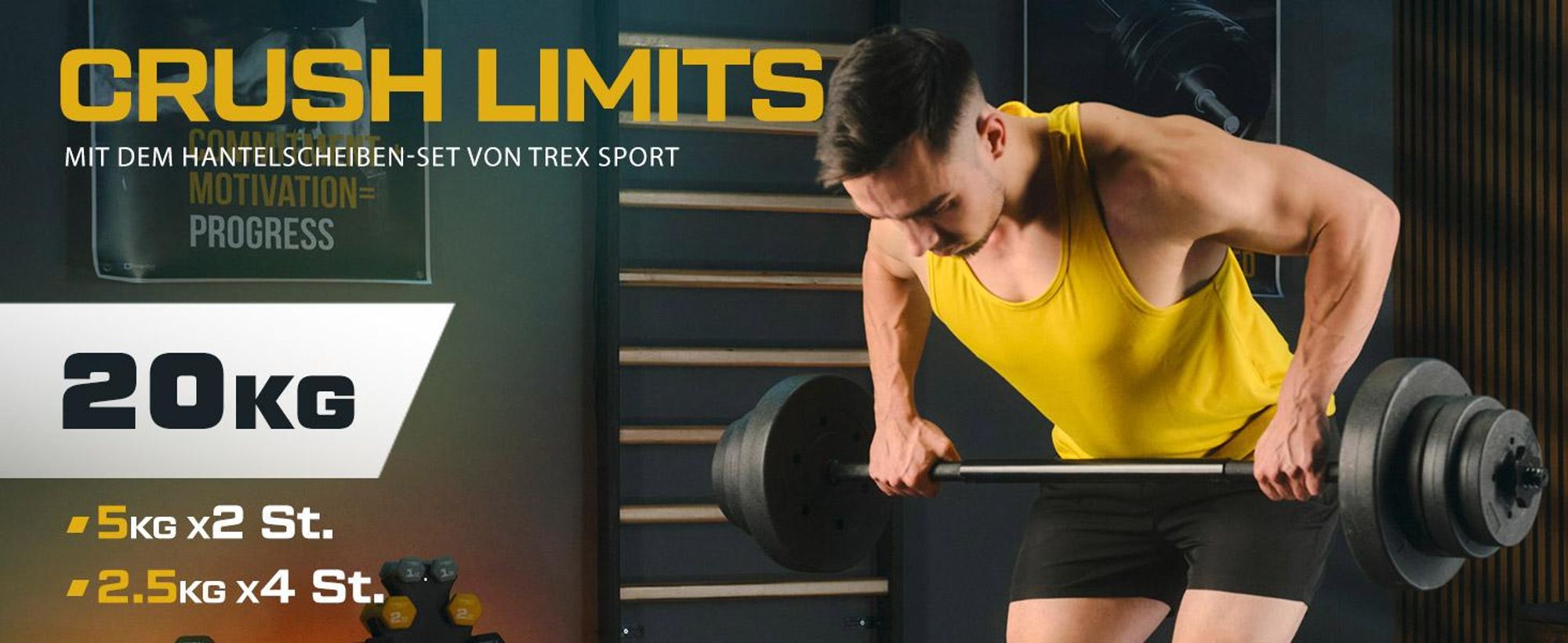 TREX SPORT Hantelscheiben Set 20kg (4x2,5kg, 2x5kg) TX-020AS |Kunststoff Gewichtsscheiben Ø27mm |Fitness Scheiben, Gewichte für Hantel, Hantelgewichte