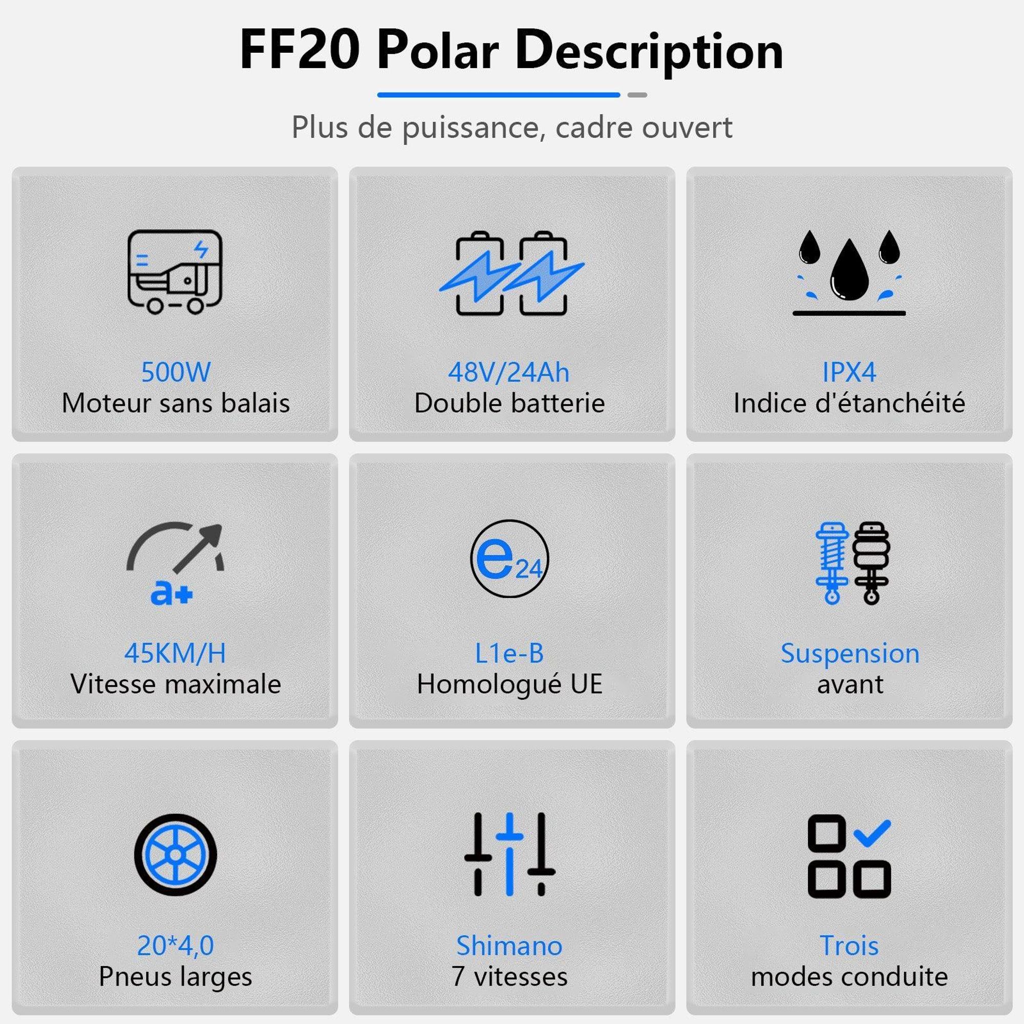 Vélo Électrique FAFREES FF20 Polar - Batterie 48V12*2AH 20" Frein à Disque Hydraulique - Gris Bleu
