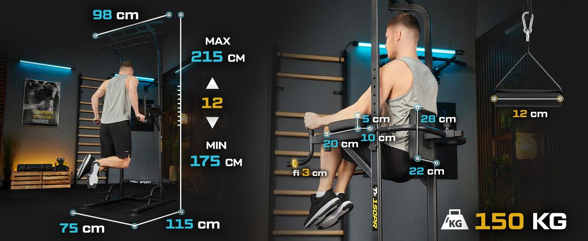 TREX SPORT Power Tower Dip Station & Klimmzugstange freistehend TX-150PR | multifunktionaler Kraftturm mit Expandern | Fitness Kraftstation bis 150 kg