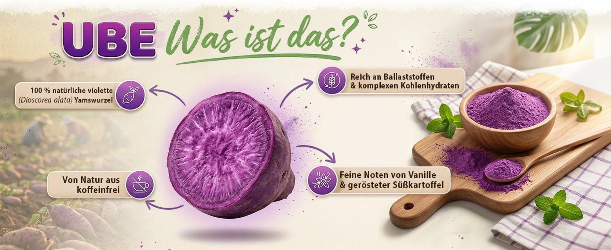 Mary Rose - Purple Matcha Tee Ube Pulver 100g - Lila Yamswurzel - Koffeinfrei - Für Latte, Gebäck - Lebensmittelfarbstoff - Vanille-Nuss-Geschmack