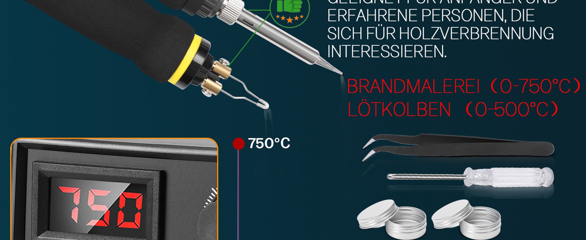165tlg Brandmalstation 100W Brandmalerei und Lötkolben setHolzbrenner Brennkolben Brandmalgeräte Lötstation Lötset Soldering Iron Einstellbar 0-750°C