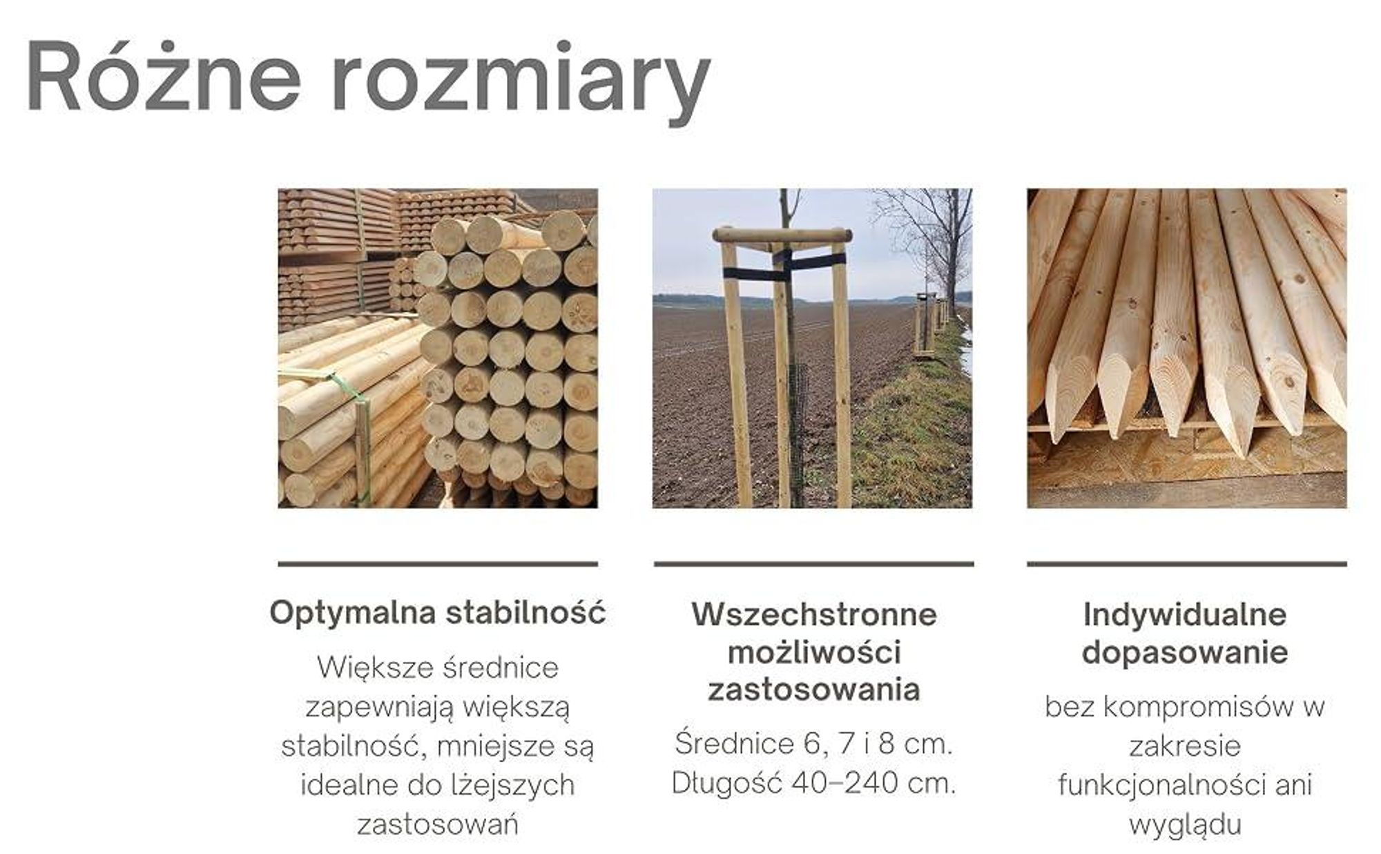 TIMBERMIK Palisada Drewniana Ø6 cm 140 cm 4 szt. Paliki Sosnowe do Drzew i Ogrodu Nieimpregnowane