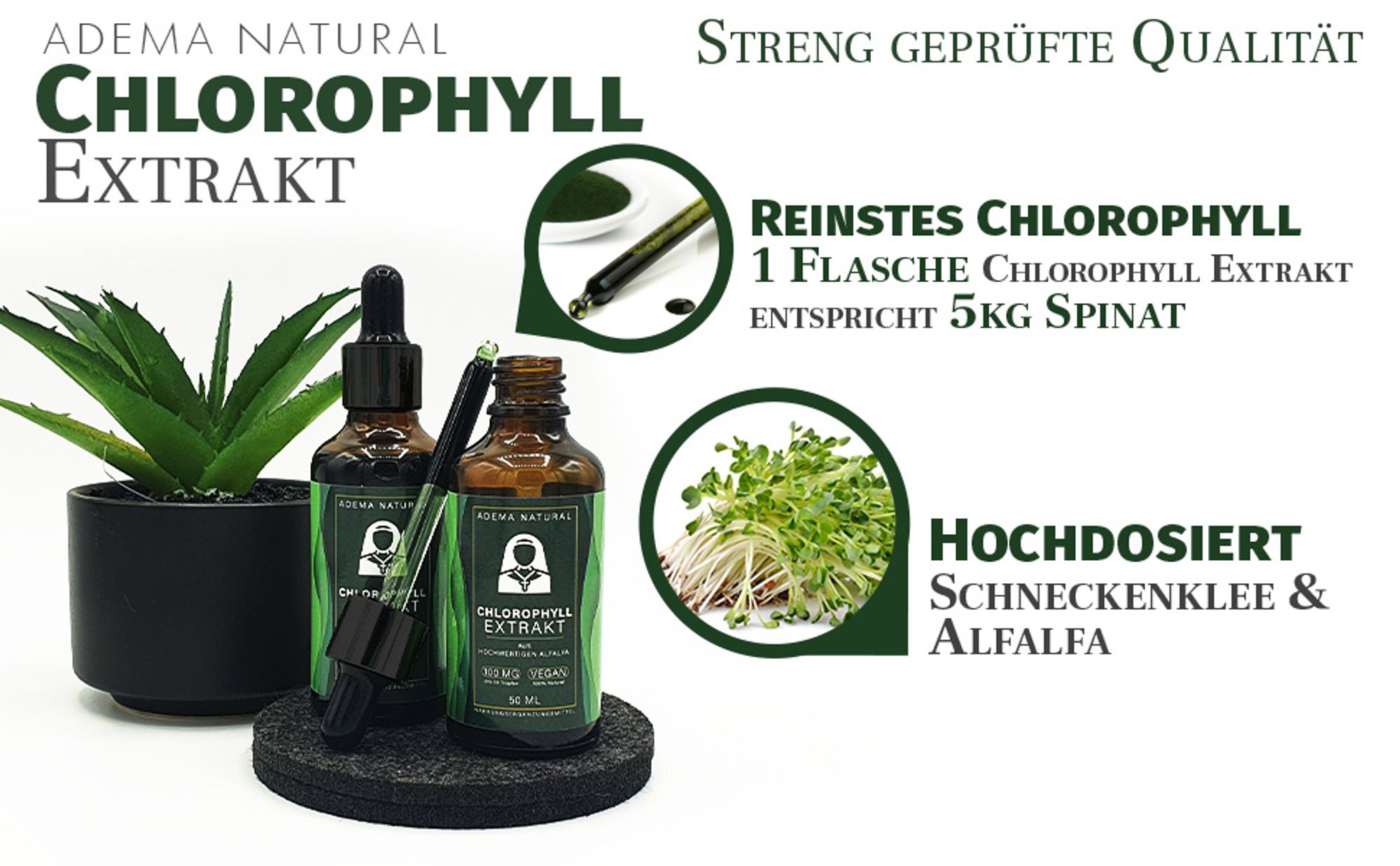 Adema Natural® Chlorophyll Tropfen – Stärken des Immunsystems – Erhöhung der Energie und Vitalität – Unterstützung der Verdauung – vegan – natürlich