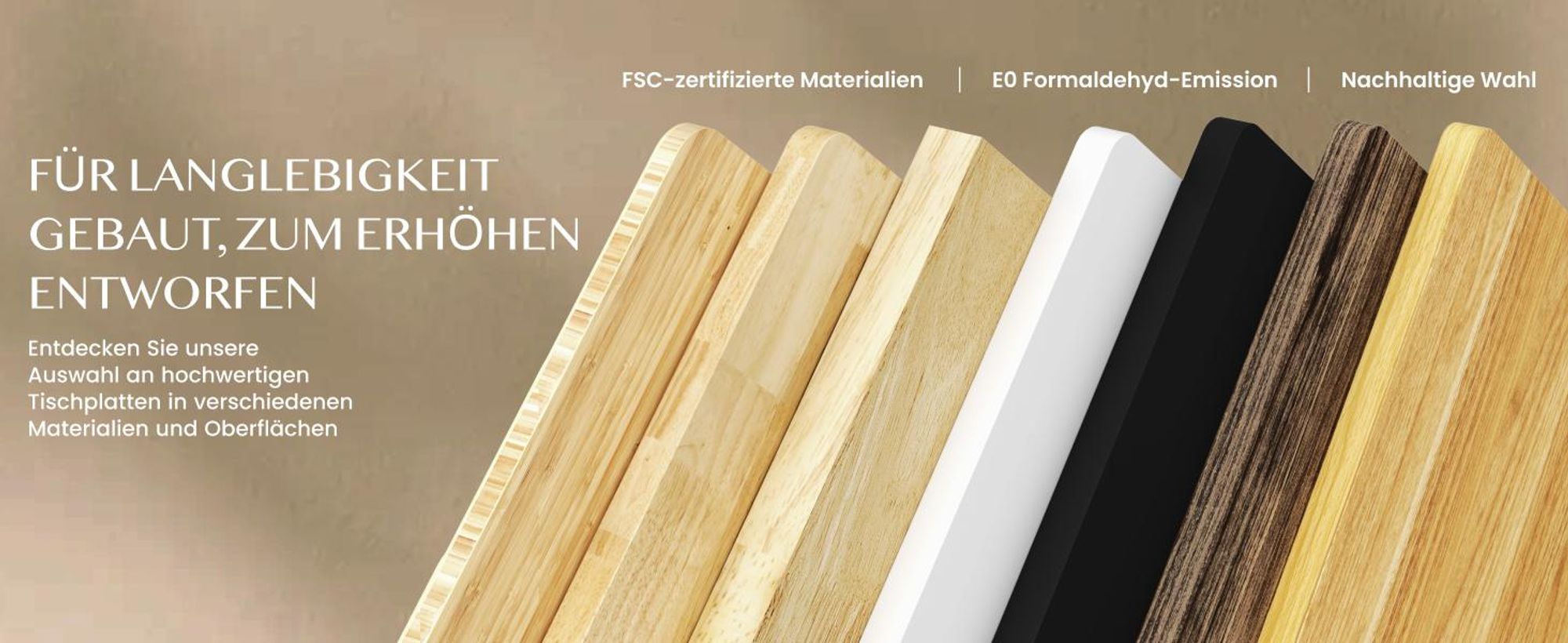FlexiSpot höhenverstellbarer Schreibtisch elektrisch 120x80cm mit Dualmotor, 25MM einteiliger Tischplatte&3-fach Teleskop EC5 LITE (Weiß)