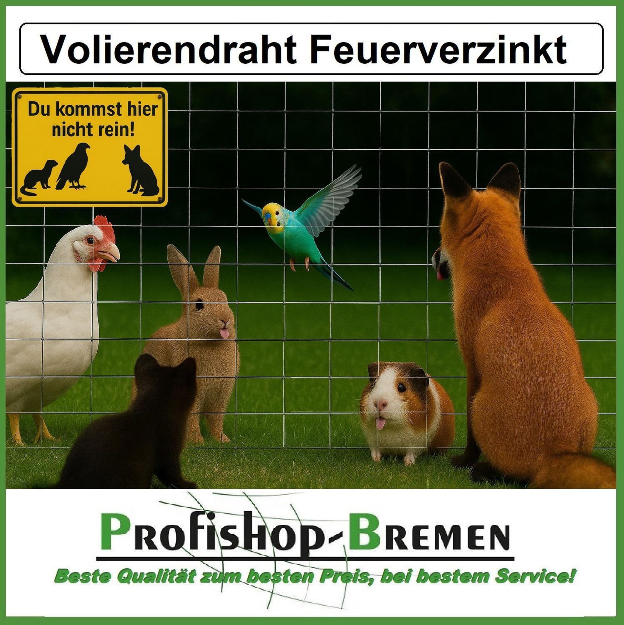 Volierendraht feuerverzinkt punktgeschweißt Höhe 100 cm Länge 10 m Maschendrahtzaun (Maschenweite 12,7x12,7 mm) - Grundpreis pro Meter 2,20 EUR