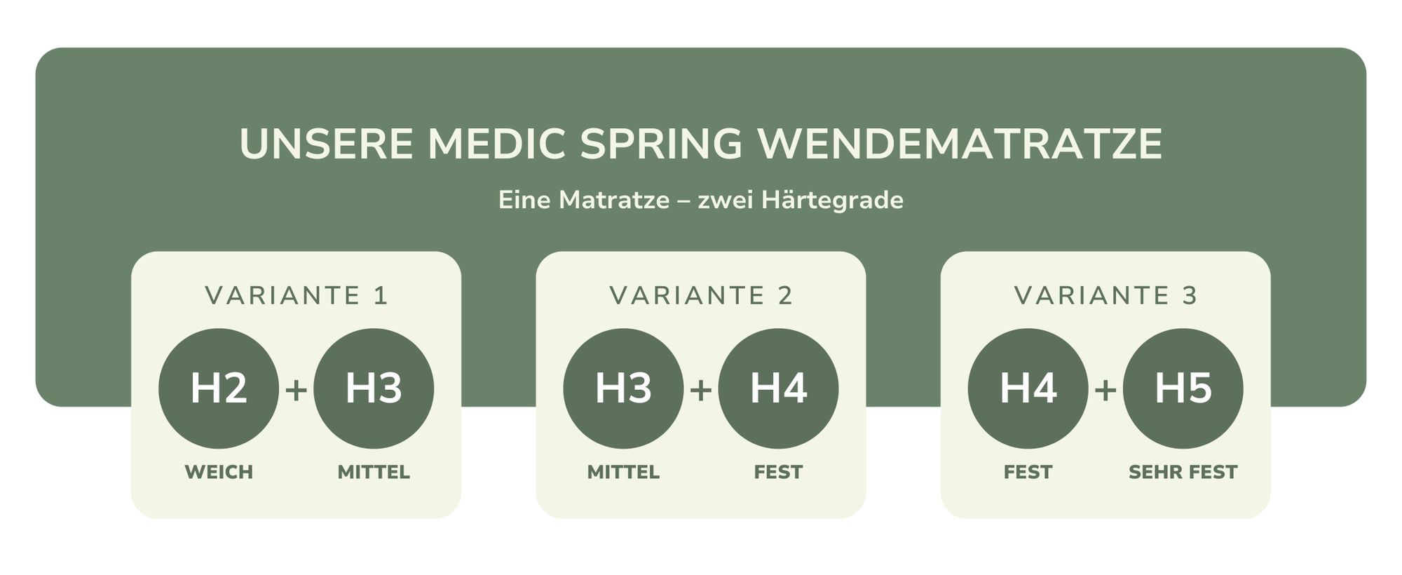 MSS e.K. MedicSpring 2-in-1 7 Zonen Taschenfederkernmatratze ergonomisch atmungsaktiv 90 x 200 x 20 cm H2 / H3 |  Germany