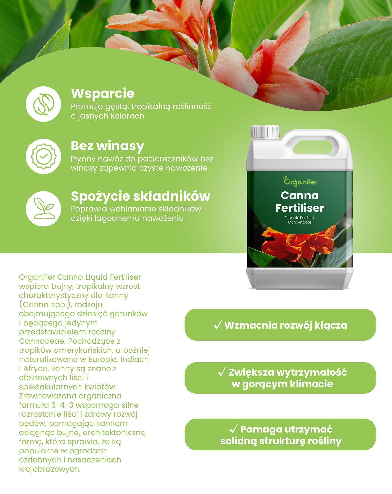Canna Nawóz Płynny 1 L – 3-4-3 NPK – Do Kvitnúce Rośliny – Do Bujne Listy i Silne Kwiaty – Podporuje Korzenie i Vitalitu – Organifer