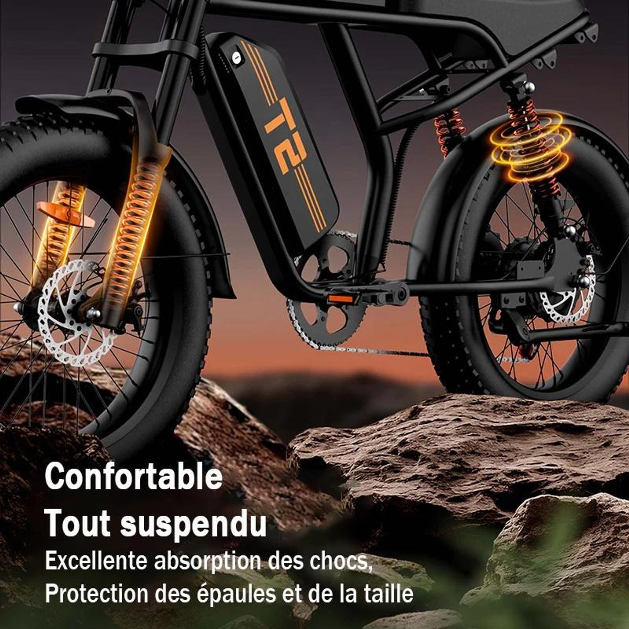 URLIFE T2 Vélo Électrique - Moteur 250W Batterie 48V 15.6Ah Pédalier assisté Freins à disque - NoirFreins à disque - Noir