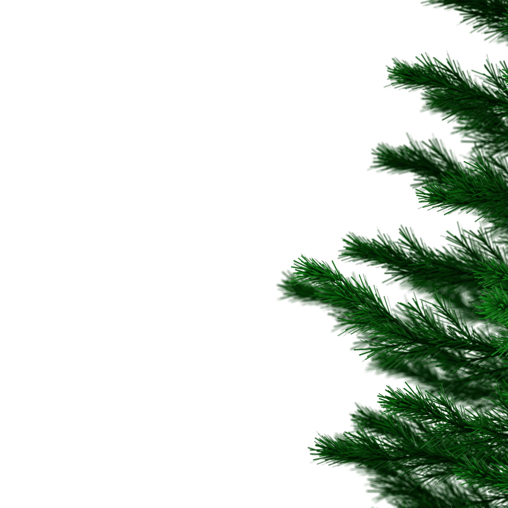 Casaria Künstlicher Weihnachtsbaum 240 cm mit Metallständer 1057 Spitzen Schneller Aufbau Weihnachten Weihnachtsdeko Tannenbaum Christbaum PVC Grün