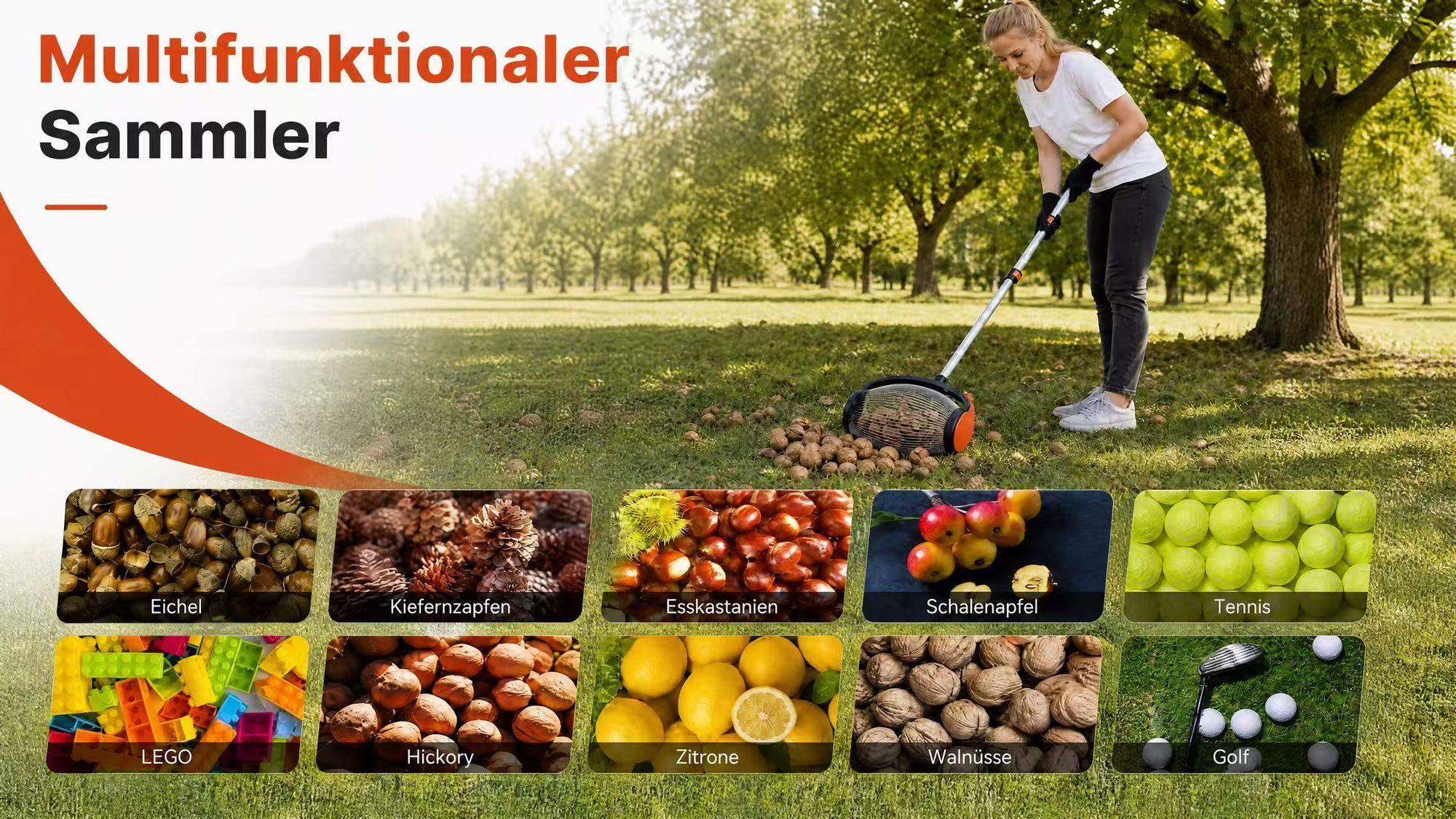 Rollsammler Nusssammler 34cm mit Aluminium Teleskopstiel, Pedalbetätigte Seitenöffnung, Ausziehbar 37–110 cm,Obstsammler für Walnüsse Eicheln Fallobst