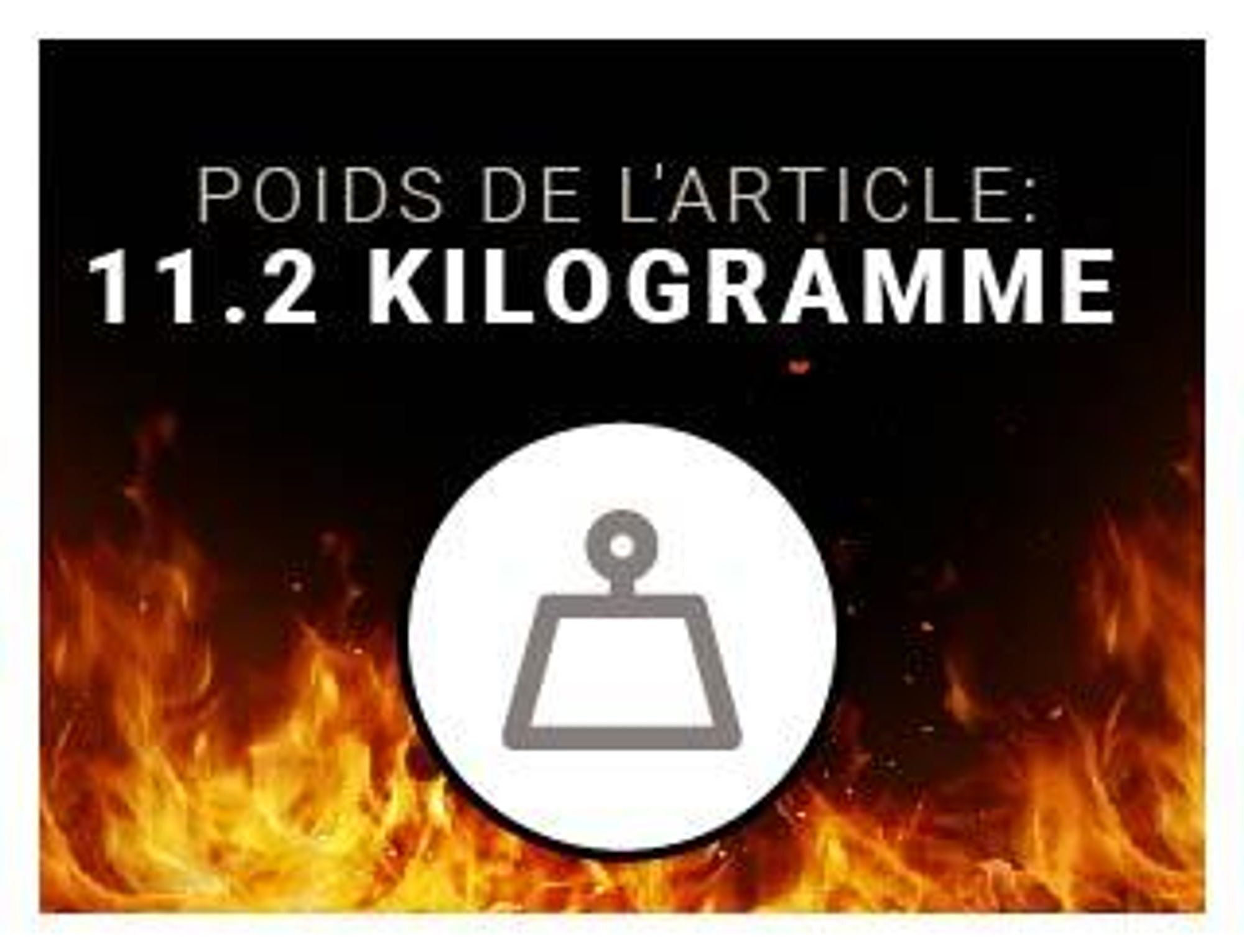 Cheminée électrique encastrable BALDERIA Agnes 36 – Puissance de chauffage jusqu'à 1 800 W, noire