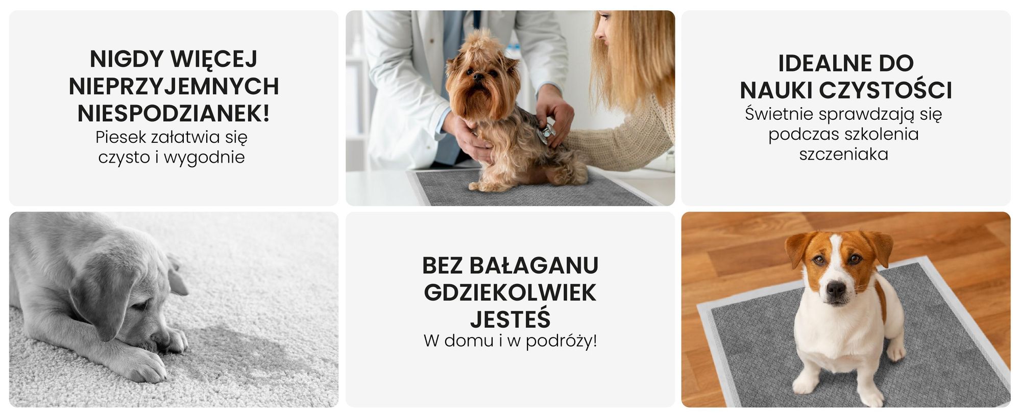 RAGI Puppy pads podkładki treningowe dla psów, 50 sztuk, szczenięta, chłonne, szczelne, nietrzymanie moczu, treningowe z węglem aktywnym, 60x60cm