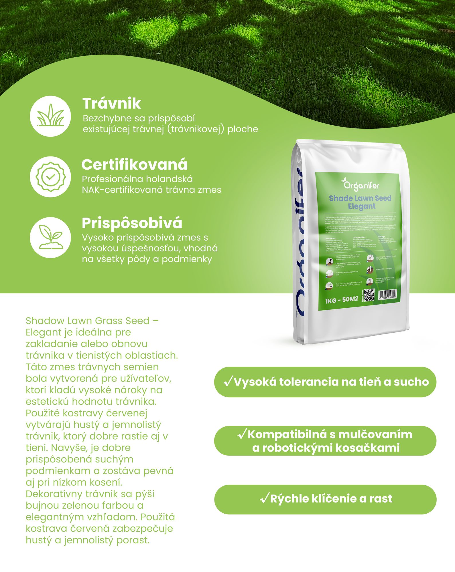 Trávne semeno Shadow – Elegant (1 kg na 50 m2)