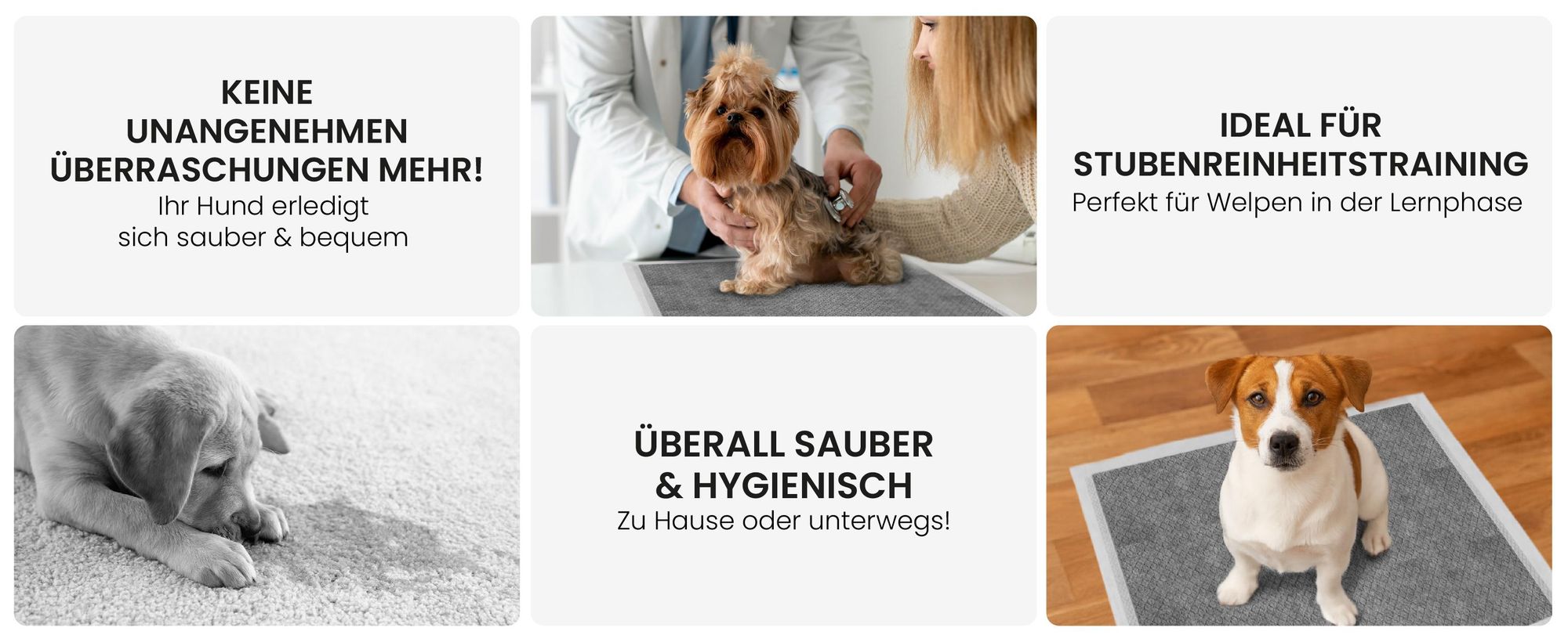 RAGI Welpenunterlagen Trainingspads für Hunde, 50 Stück, Welpen, Saugfähig, Auslaufsicher, Inkontinenz Aktivkohle Trainingsunterlagen, 60x60cm