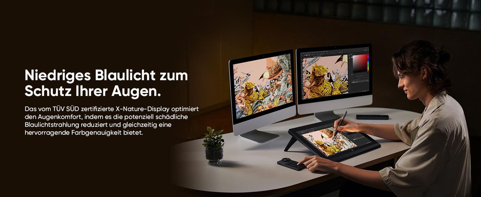 XPPen Artist 16 Pro (2nd Gen) + RC Grafiktablet