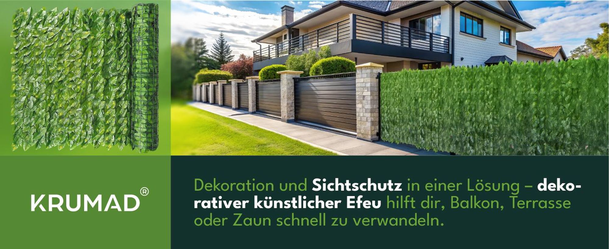 glücksfeder maximale größe Zamioculcas Zamiifolia ⭥75cm – Glücksfeder