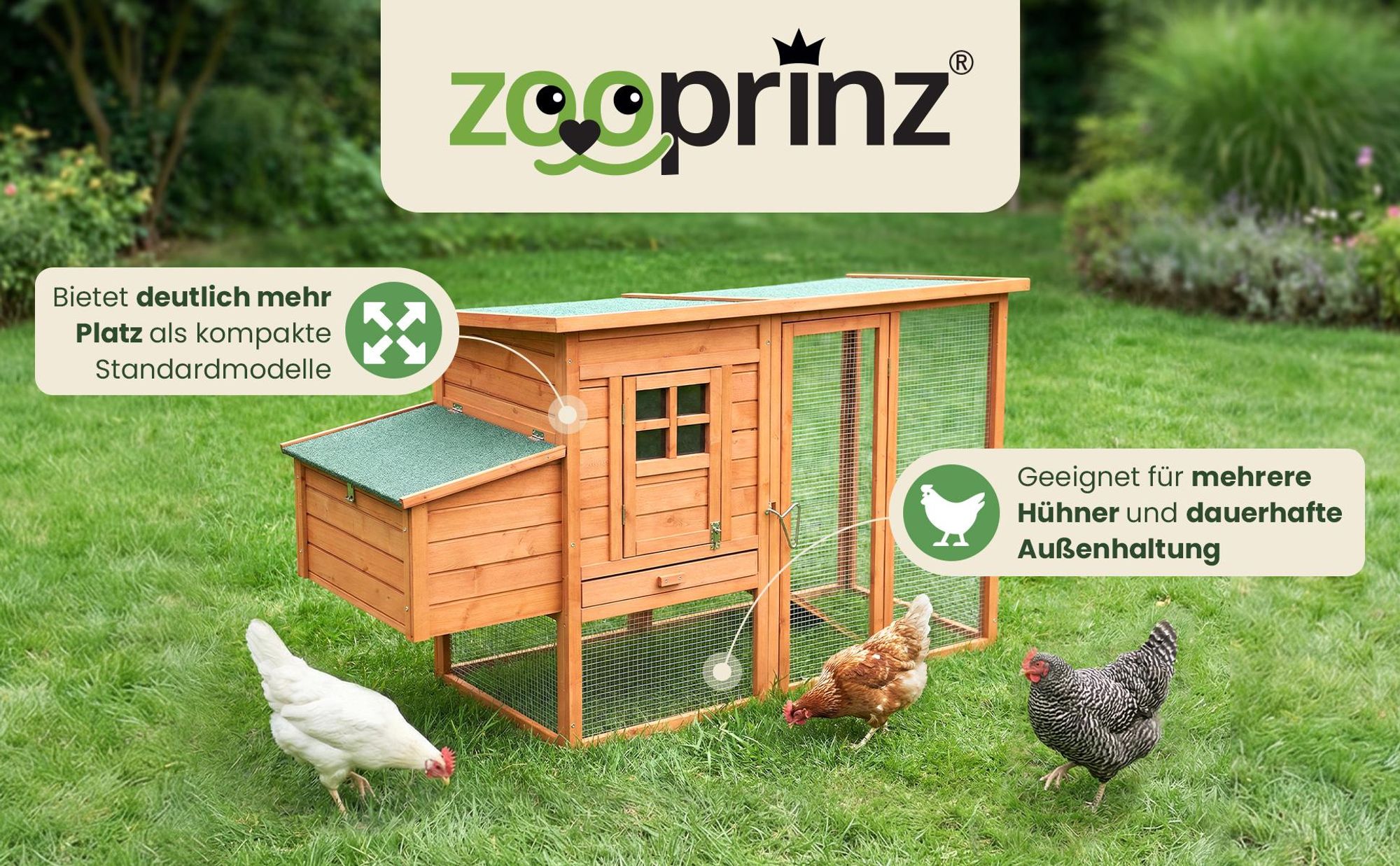 zooprinz Hühnerstall Hühnerhaus Modell | XXL | 182x103x75cm (BxHxT) | Klappdach | Freilaufgehege | Nistkasten | Wetterfest | Massivholz