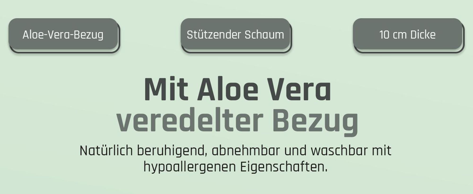 Best For You Schaumstoffmatratze ALOE VERA Kinderbettmatratze 15 Größen von 60x120x10 cm bis 200x200x10 cm mit Reißverschluss Aloe Vera 90x200