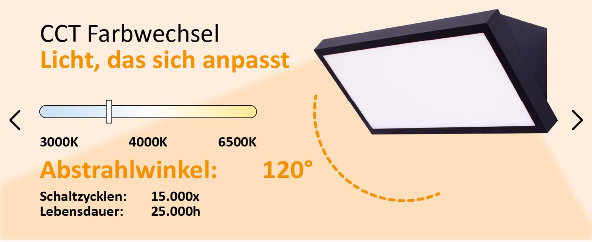 LED Außenwandleuchte 2906Y Schwarz 20W 3CCT (Warmweiß, Neutralweiß, Kaltweiß) IP54 Wetterfest
