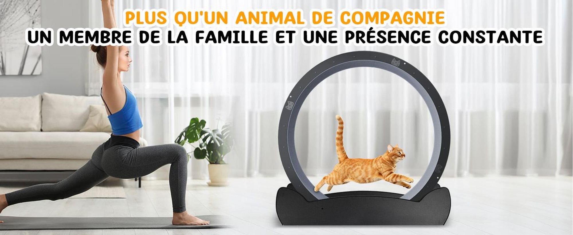 GTPLAYER Roue d'exercice pour chats, roue d'exercice pour chats, extra grande 100 cm, roue d'exercice ultra silencieuse avec tapis et jouets amovibles, autocollants, verrouillage, geeign
