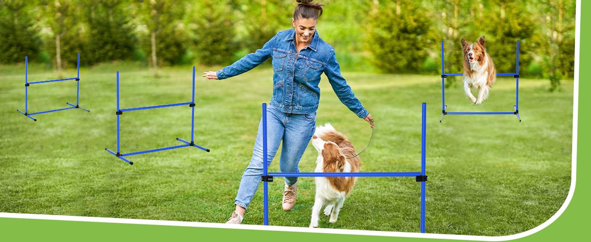Huismerk Autobench PawHut Agility Hurdle Set Slalom Stick Set Psy 4 x płotki do ćwiczeń z torbą niebieski D07-018BU