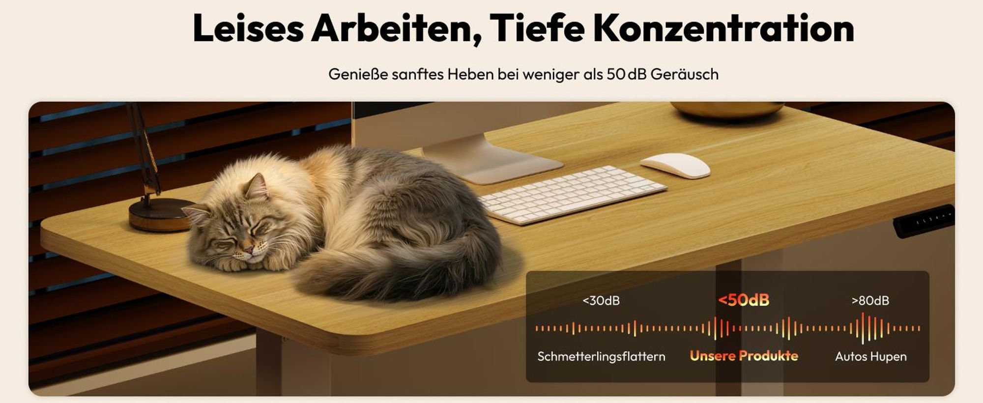 SANODESK QS1 Höhenverstellbarer Schreibtisch Elektrisch EINTEILIGE TISCHPLATTE, 4 Speicherplätzen, Haken & Kabelmanagement, 120x60cm (Ahorn)