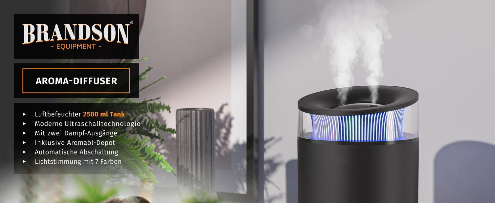 Brandson Luftbefeuchter 2,5 l mit Aroma Diffuser, Ultraschall, 2 schaltbare Nebelausgänge, bis 50 h pro Tankfüllung, 7 LED-Farben, leise unter 30 dB, USB-C, schwarz