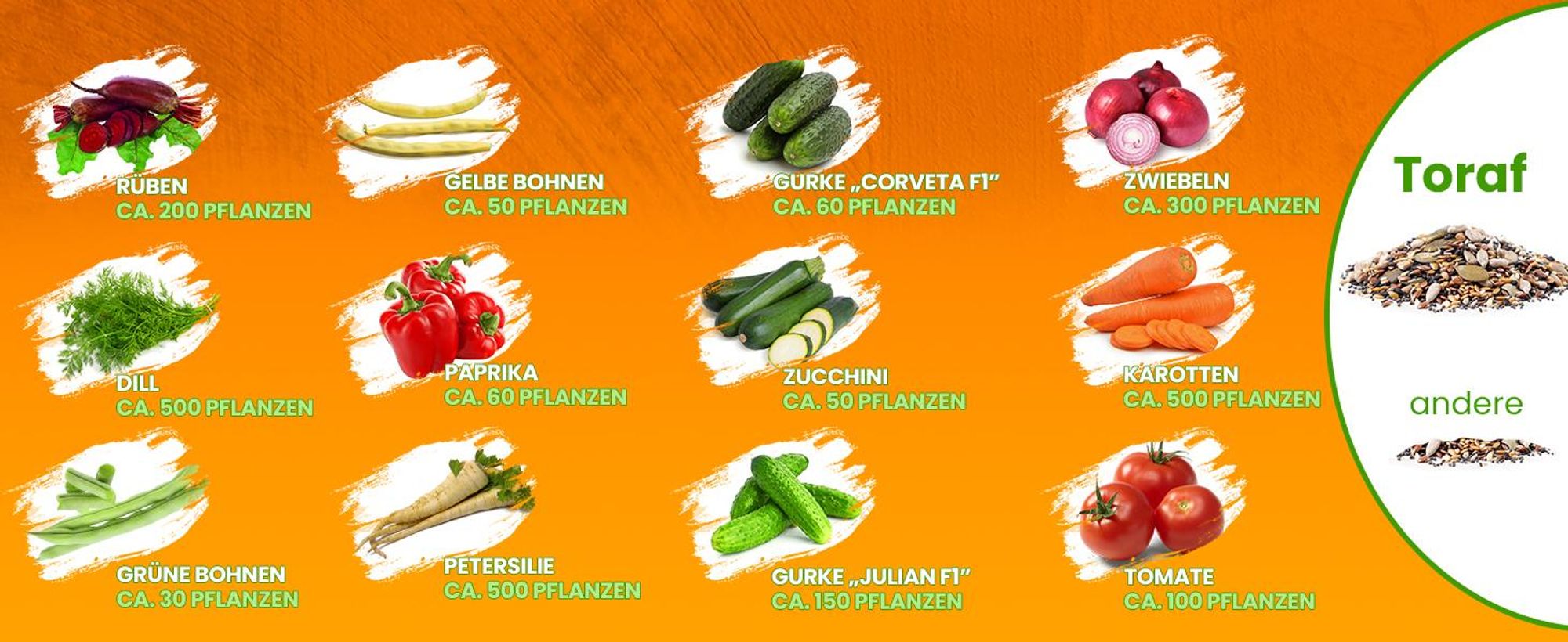 Toraf Gemüsesamen XXL Set 2500 Samen 12 Sorten Saatgut
