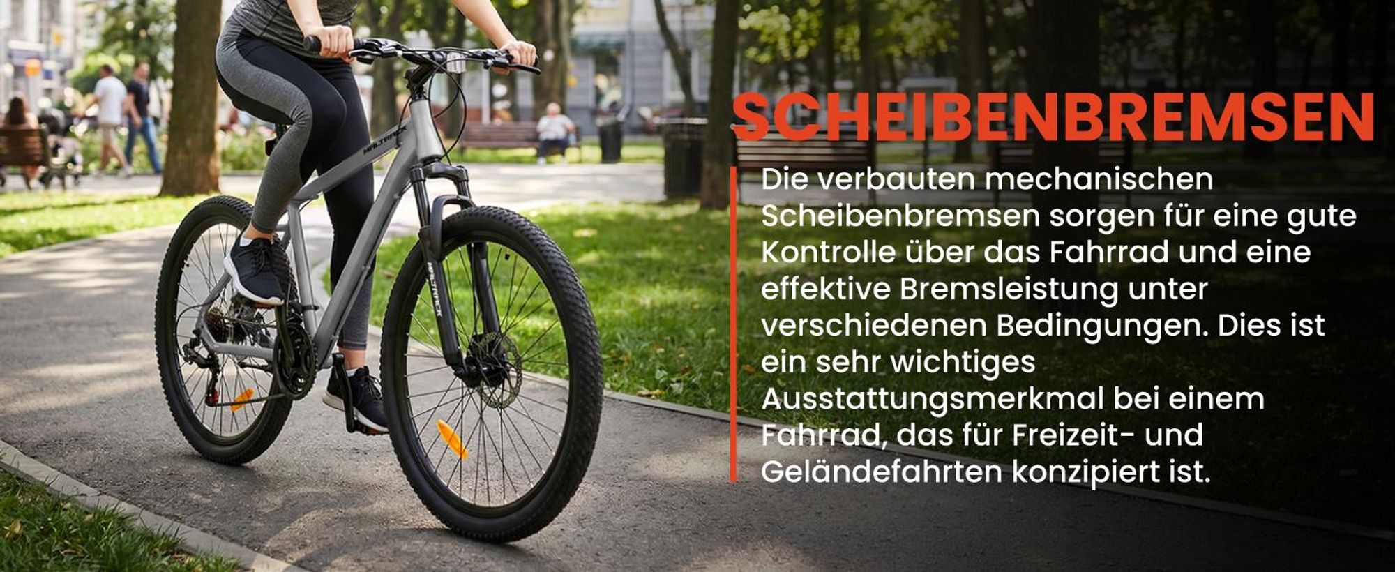 Mountainbike 26 Zoll MTB Fahrrad Shimano 21 Gang Scheibenbremsen Federgabel Grau