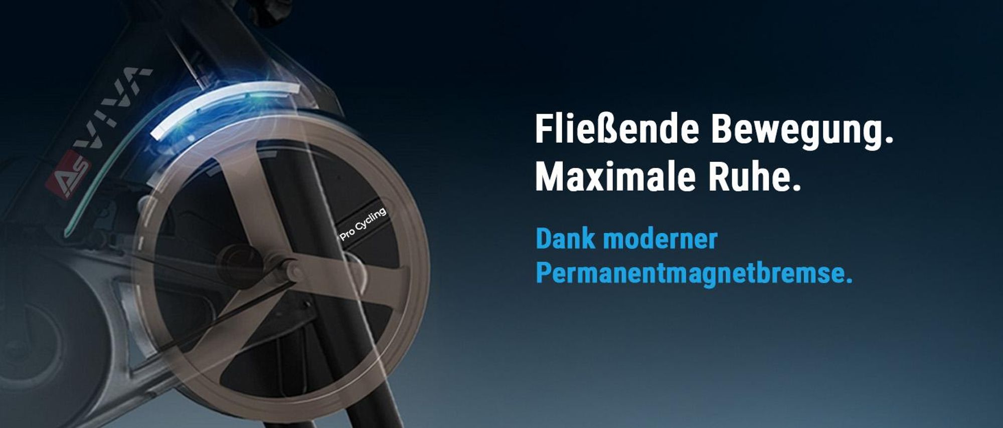 Indoor Cycle & Speedbike AsVIVA S11S | Fitnessbike mit 21,5 Zoll LED Display | 100 Widerstandsstufen | Ergometerfunktion | 360 Grad Lautsprecher
