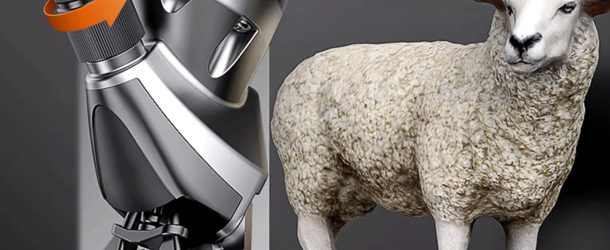 Clipper Trimmer