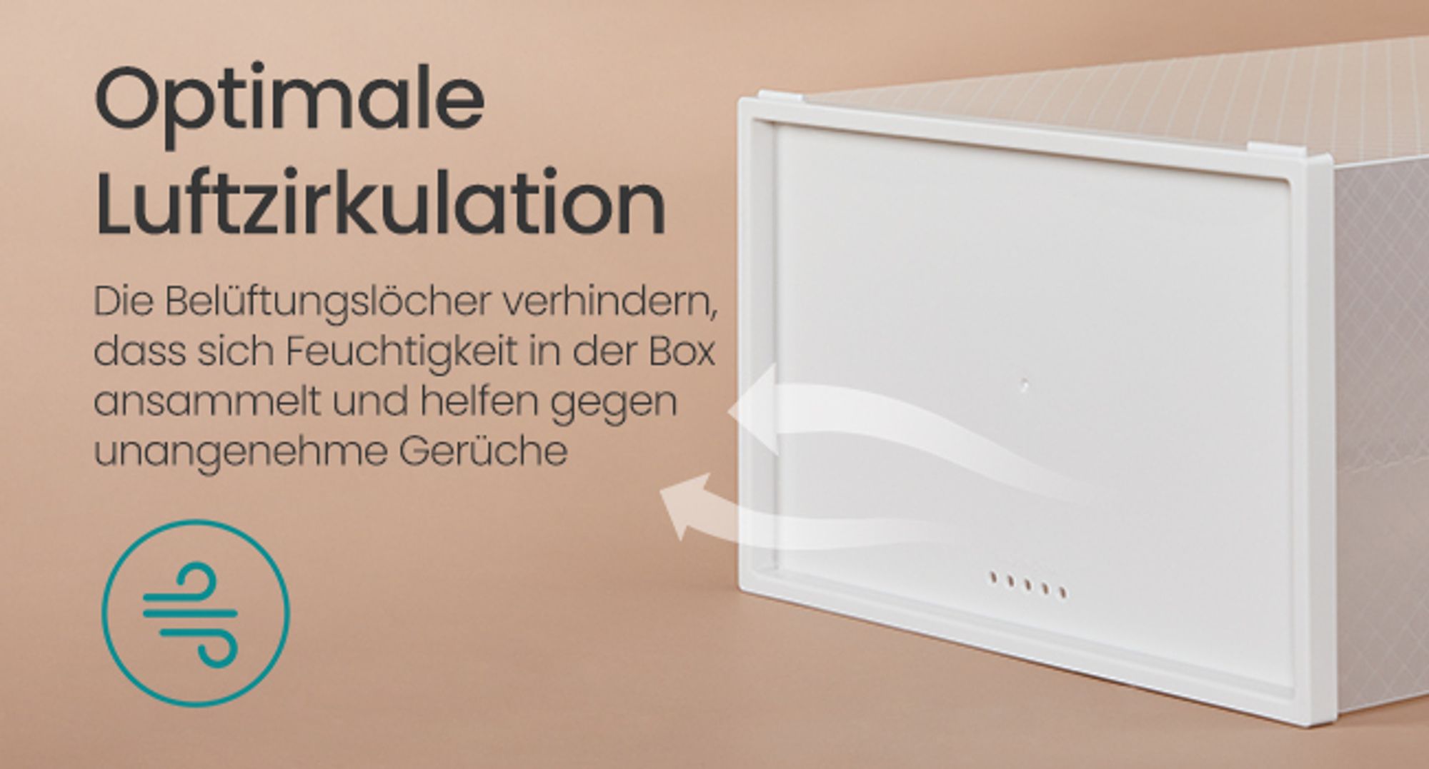 Schuhboxen, 18er Set, durchsichtig, aus Kunststoff, mit Tür, stapelbar, 33,2 x 23 x 14,5 cm, transparent-wolkenweiß