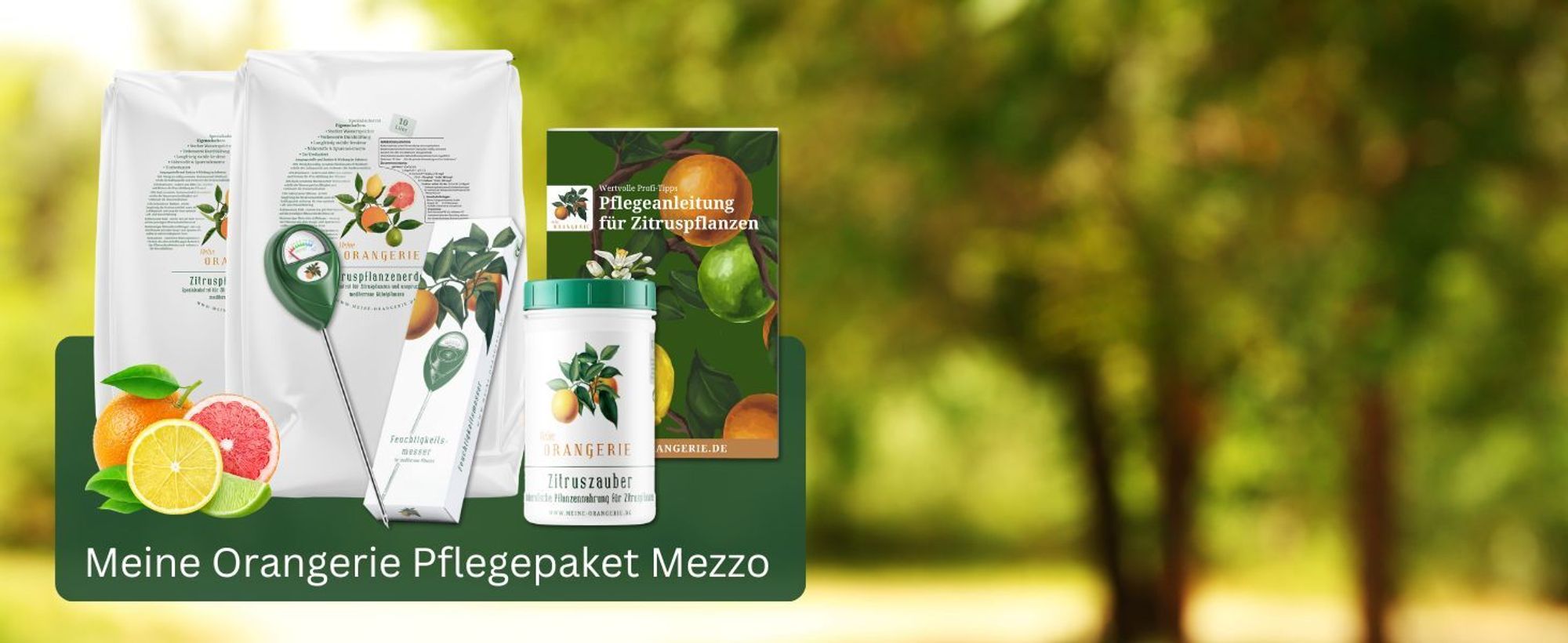 Meine Orangerie Zitrus-Pflegepaket Mezzo: Beste Zitruserde + starker Zitrusdünger + nützlicher Feuchtigkeitsmesser + hilfreiche Pflegebroschüre
