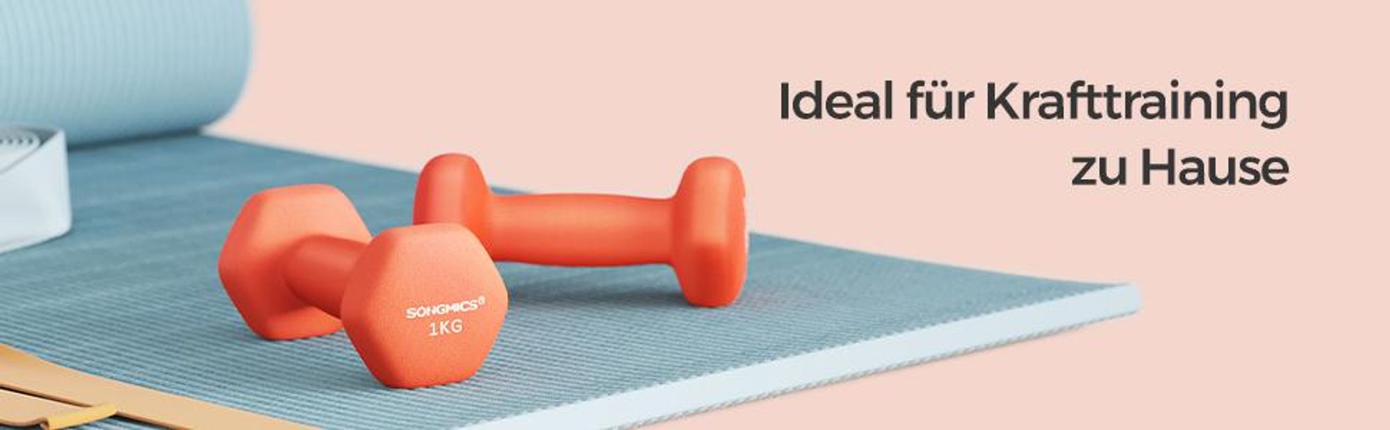 SONGMICS Hanteln, 2er Set, 2 x 1 kg, Hantelset, Kurzhanteln, Hexagon, Neopren-Beschichtung, Krafttraining, Workout, Fitnesstraining, für Zuhause,