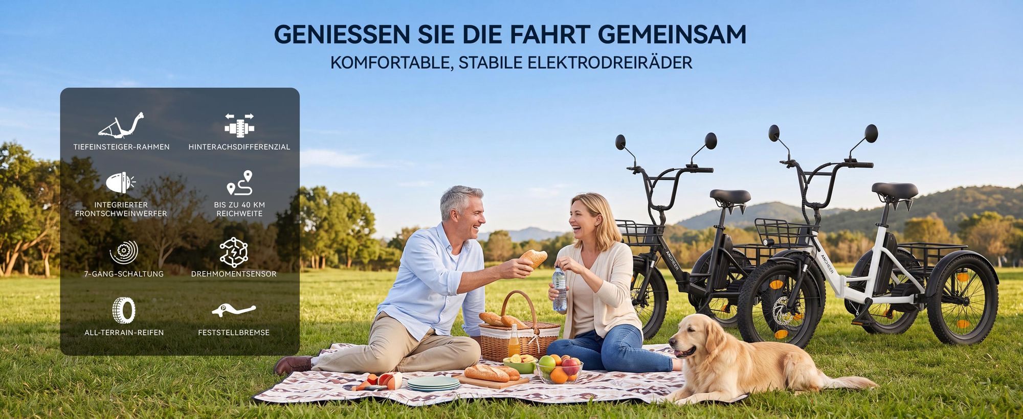 20" Fat Tire E-Bike Dreirad Klappbar, Elektro Lastenfahrrad Erwachsene, 36V 10.4Ah, 250W Motor, Differential, 286kg Zuladung, Doppelkorb, Grau