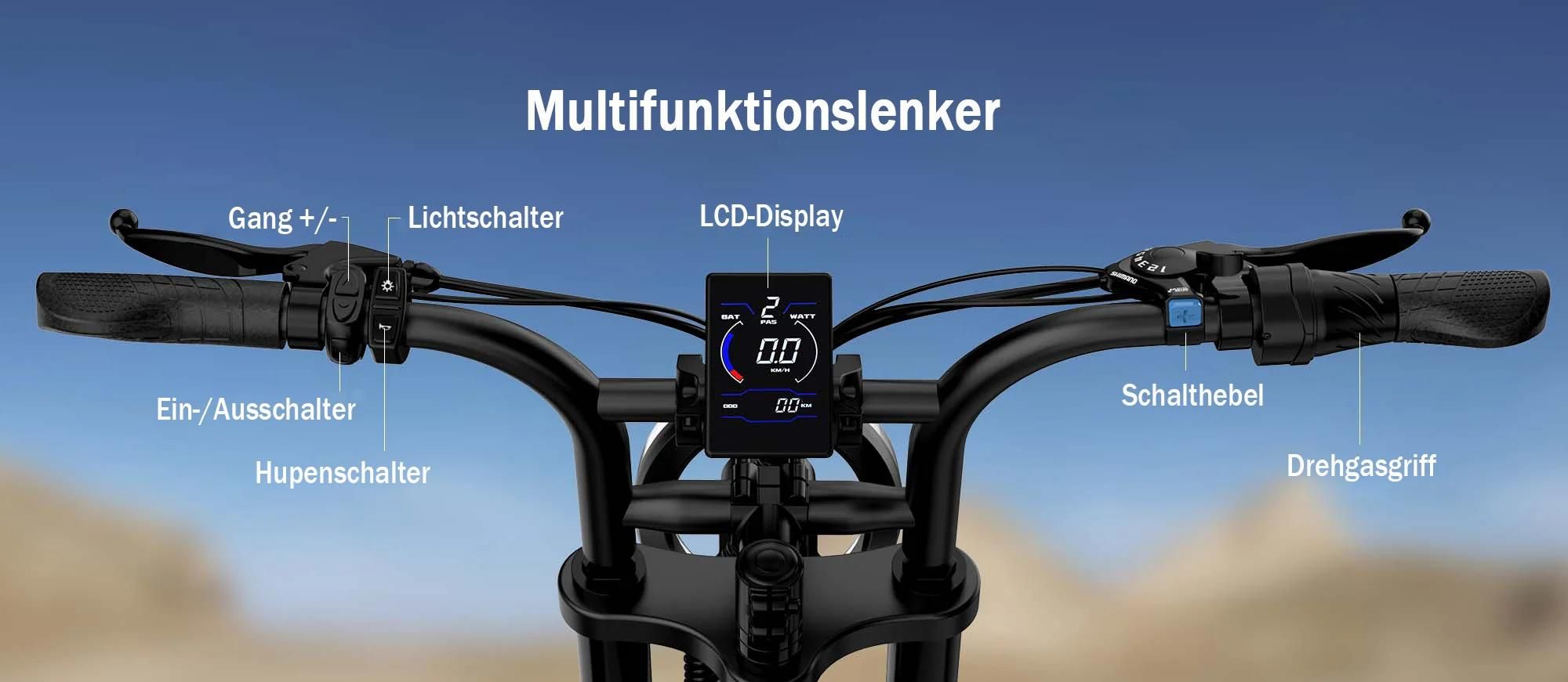 URLIFE T2 Elektrisches Fahrrad - Motor250W Batterie 48V 15.6Ah mit Scheibenbremse Trittunterstützung - Schwarz