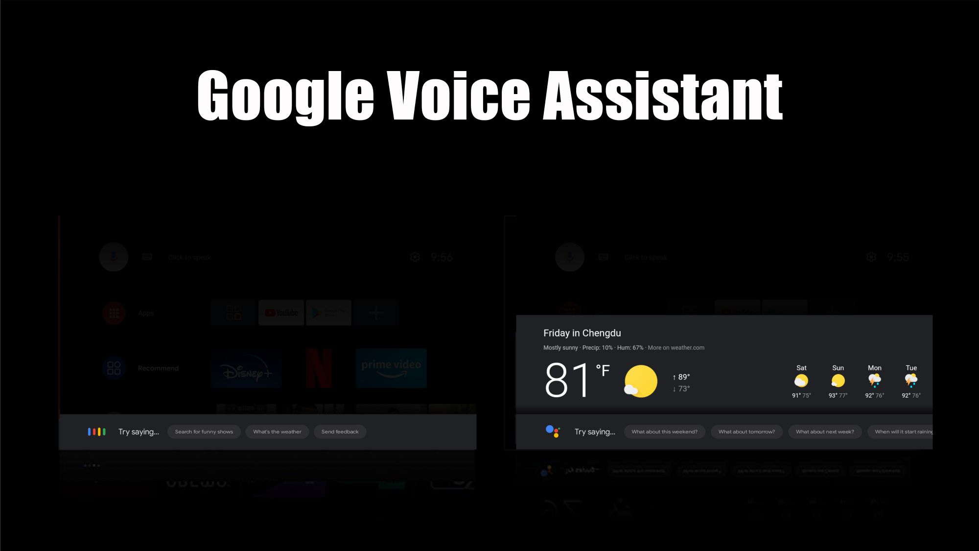 Sprachsteuerungsgerät mit Google Voice Assistant
