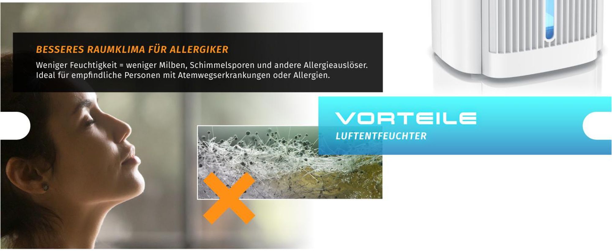 Brandson Luftentfeuchter elektrisch, Raumentfeuchter, klein & leise, Wassertank 2000 ml, für 20 m³ Räume, Entfeuchtung 0,6 l/Tag, Tank 0,6 l, Entfeuchter Peltier Dehumidifier für Wohnung, Badezimmer, Schlafzimmer