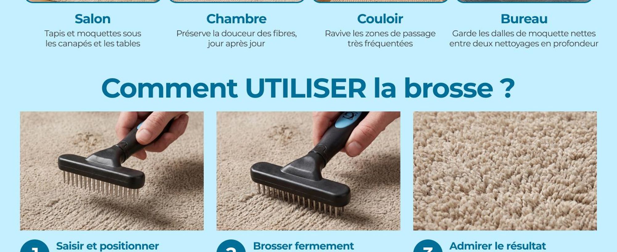 Brosse pour tapis Glissimo pour redonner du volume aux fibres convient aux animaux domestiques pour réparer les tapis aplatis design ergonomique