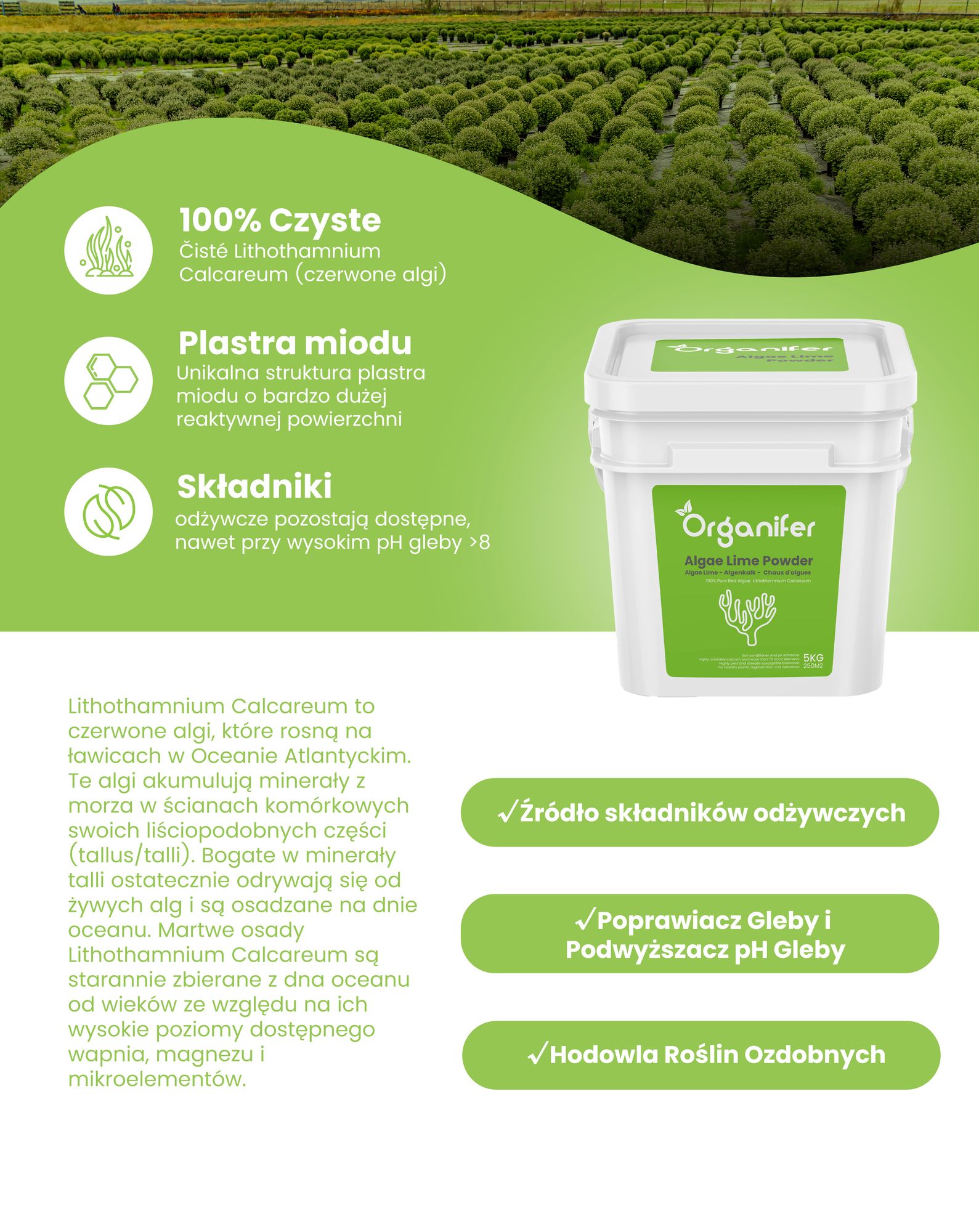 Wapno Algowe w Proszku – Czyste Lithothamnium Calcareum (10 kg na 500 m2) - Organifer