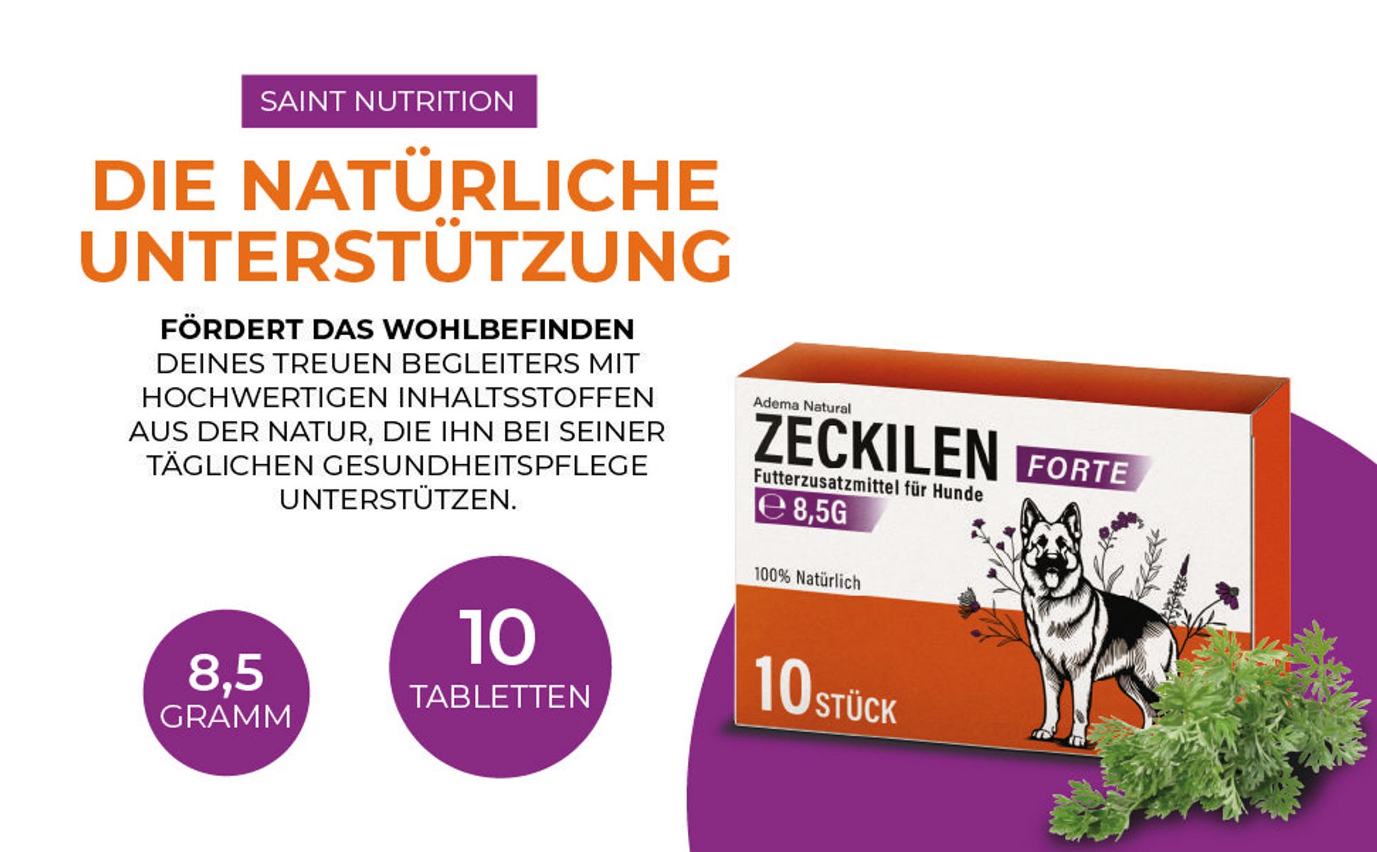 Adema Natural® Zeckilen Forte - Zecken Tabletten – zum Schutz vor Zeckenbefall – für Hunde und Katzen – Zeckenschutz Hund – Zeckentabletten