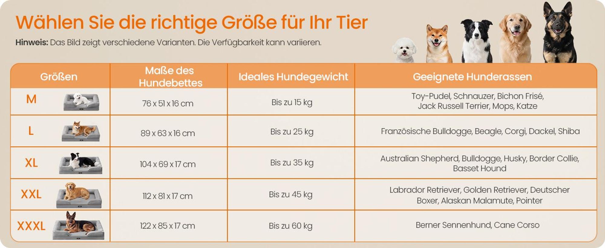 FEANDREA Orthopädisches Hundebett M, abnehmbarer Bezug, erhöhte Ränder, rutschfest, waschbar, Haustierbett, hellgrau