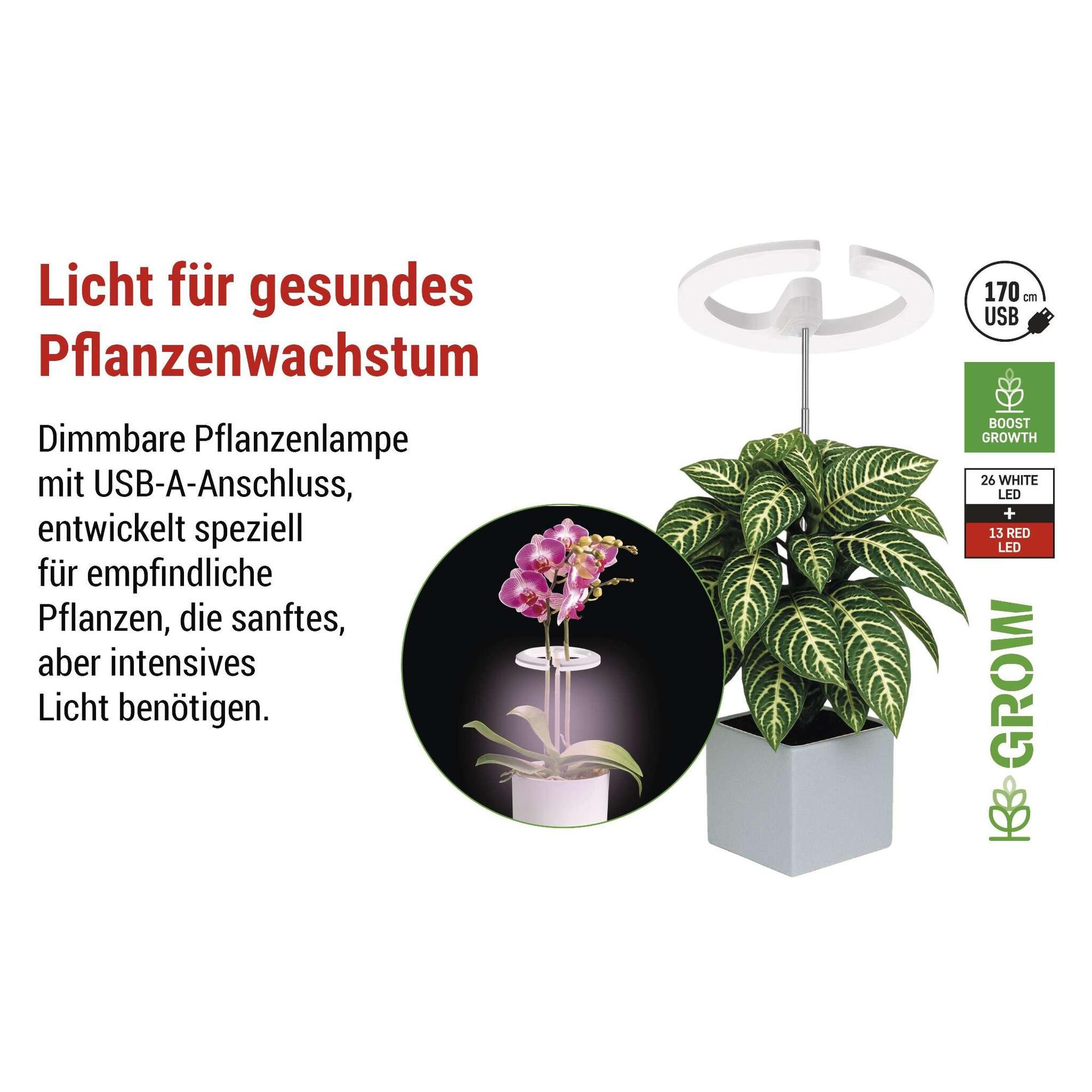 EMOS LED-Grow-Lampe für Zimmerpflanzen und Sukkulenten, runde Wachstumslampe für Orchideen mit Timer, höhenverstellbar, 300lm, 1,7m USB-Kabel, Z7902
