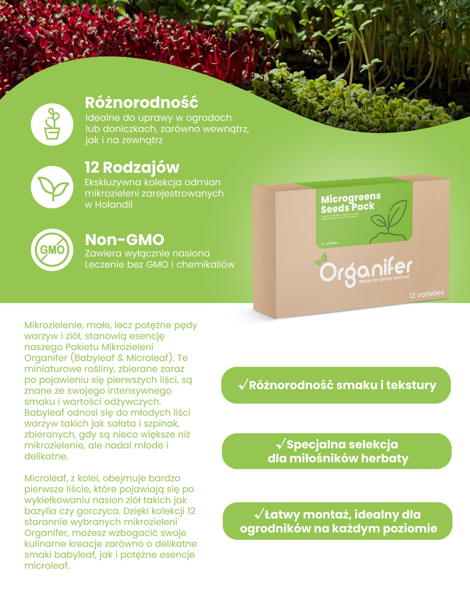 Pakiet Microgreens (Babyleaf i Microleaf) – 12 rodzajów - Organifer