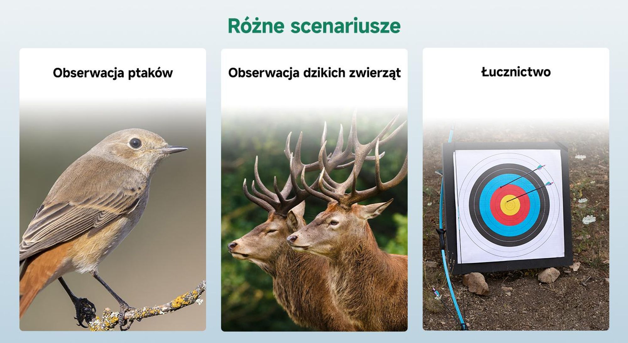 Svbony SV28A 25-75x100 mm Luneta obserwacyjna, Luneta celownicza, duże pole widzenia, pryzmat Porro H-K9L FMC, z adapterem do telefonu komórkowego