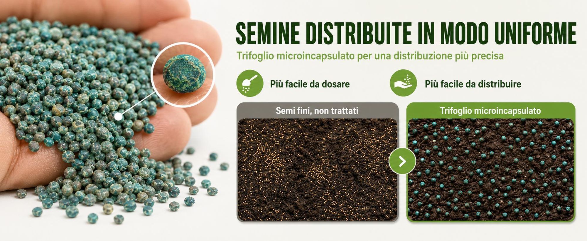 EcoDeco semi prato resistenti, sementi per prato con microtrifoglio, miscela universale da 10 kg per 400 m2