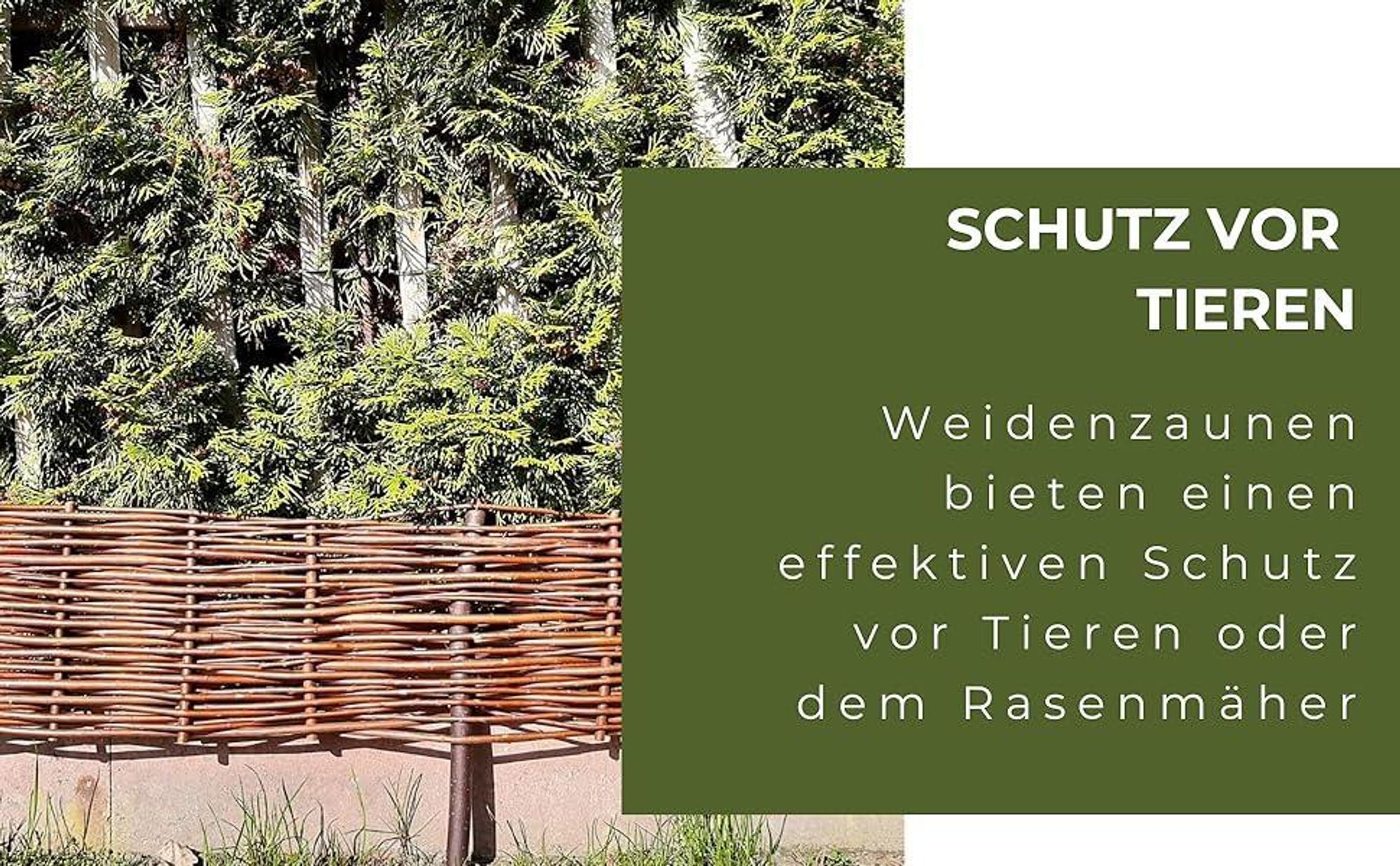 Beetbegrenzung aus Weide ( H 20 x B 120 cm 5 Stück) Palisade aus Weide, Beeteinfassung Weide in Vielen Größen, Natürlicher Weidenzaun